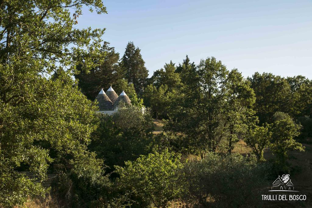 Trulli Del Bosco Acomodação com café da manhã Alberobello Exterior foto